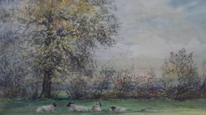 THORNTON C.J 1900-1900,sheep in a field,Criterion GB 2022-03-30