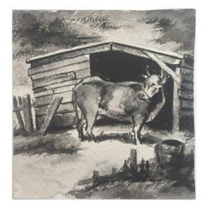 THRASH Dox 1892-1965,Portrait of a Bull,Kodner Galleries US 2021-09-02
