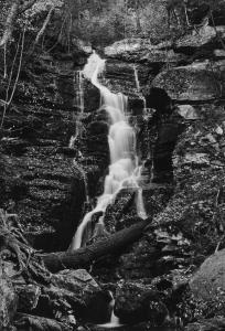 TICE George A 1938,Waterfall, Autumn, dal portfolio "Peekamose",Finarte IT 2023-12-12