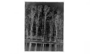 TILLARD Ferdinand,Paysage de Caen (étude d'arbres au Grand Cours),Beaussant-Lefèvre 2001-11-15