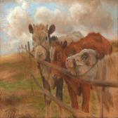 TILLY Vilhelm Eyvind 1860-1935,Cows at a fence,Bruun Rasmussen DK 2013-09-02