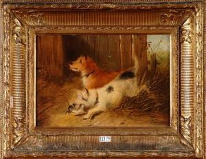 TIMMERMANS L. 1800-1900,Chiens jouant avec une souris,VanDerKindere BE 2010-11-09