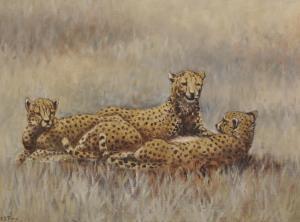 TINNE Esme Dorothea 1899-1985,Cheetahs , Resting in the Sun,John Nicholson GB 2020-03-25