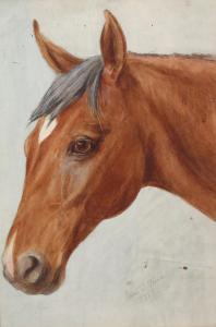 TINNE Esme Dorothea 1899-1985,portrait of a horse,1917,Burstow and Hewett GB 2023-07-20