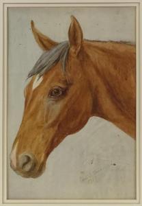 TINNE Esme Dorothea 1899-1985,study of a horse,1917,Burstow and Hewett GB 2019-01-29
