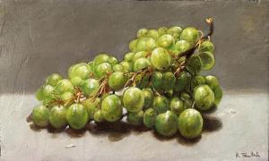 TKATCH KIM 1963,Grapes,Matsa IL 2024-01-29