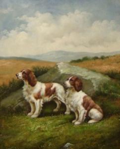 tobin c,Two Spaniels in Highland Landscape,Keys GB 2009-02-06