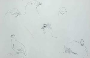 TODD Stanley 1923-2004,a trio of grouse studies in varying profiles,Keys GB 2023-04-12