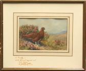 TODD Stanley 1923-2004,Portrait of a Grouse,1961,Clars Auction Gallery US 2010-11-06