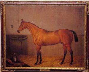TOLLEY Edward 1800-1800,HORSE PORTRAIT, ST. SERF,1878,William Doyle US 2000-09-27