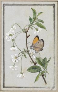 TOLSTOï Feodor Petrovitch,Butterfly on a Spray of Flowering Jasmine,1821,Palais Dorotheum 2013-10-16