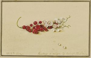 TOLSTOY PETROVICH Fedor 1783-1873,Tolstoi  Red and white currants,1818,Christie's GB 2011-06-06