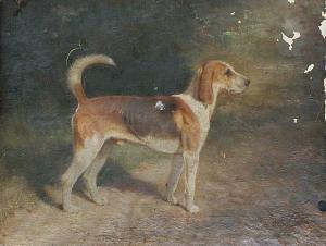 TOWNSEND Arthur Louis 1880-1912,A hound in alert pose,Bonhams GB 2009-04-28