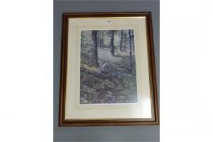 TOWNSEND Steven 1955,Squirrel in the Forest,David Duggleby Limited GB 2015-12-05