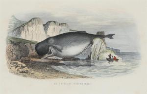 TRAVIES Edouard 1809-1870,\“Peche De La Baleine\”,Bruun Rasmussen DK 2023-05-01