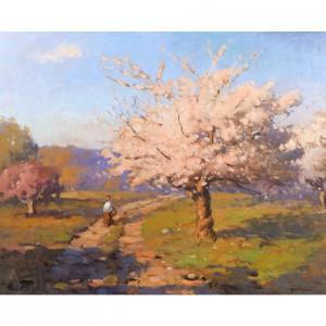 TRAYNOR John C. 1961,Cherry blossoms,Butterscotch Auction Gallery US 2023-11-19