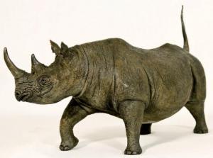 TREGAUT Olivia 1963,Rhinocéros noir prêt à charger,EVE FR 2011-11-21