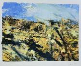 TRESS DAVID 1955,landscape,Rogers Jones & Co GB 2022-07-16