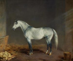 TROYE Edward 1808-1874,Lightning (A Gray Racehorse) in a Stable,1869,Sotheby's GB 2022-10-25