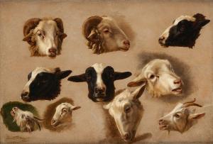 TSCHAGGENY Edmond Jean Baptiste,Études de têtes de chèvre, de bouc et de mouton,Horta 2020-05-25