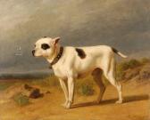TSCHAGGENY Edouard,Chien terrier,1870,Coutau-Begarie FR 2011-05-25