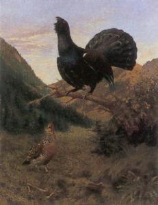 TSCHAN Rudolf 1848-1919,big black cock,Sotheby's GB 2001-06-28