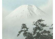 TSUBOUCHI Somei 1939-2006,Mt. Fuji with pine tree wind,Mainichi Auction JP 2021-05-21