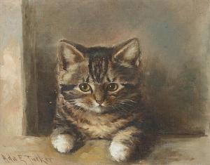 TUCKER Ada Elizabeth 1800-1900,Head of a cat,Bonhams GB 2010-01-20