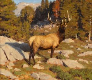 TUCKER Smith 1940,Elk,1989,Jackson Hole US 2024-02-17