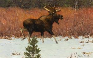 TUCKER Smith 1940,Moose & Red Willows,Jackson Hole US 2024-02-17