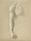 TUNICA Christian 1795-1868,Studie eines muskulösen Männerarms,Galerie Bassenge DE 2009-11-26