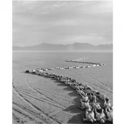 TUNICK Spencer 1967,UNTITLED,1994,Sotheby's GB 2007-10-15