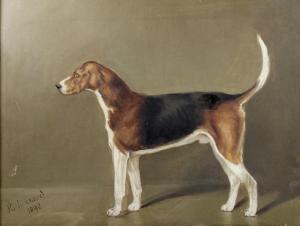 TUNNARD John Charles 1875,foxhound,1898,Batemans Auctioneers & Valuers GB 2017-09-02