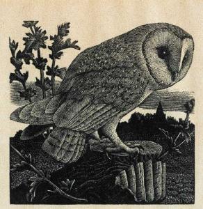 TUNNICLIFFE Charles Frederick 1901-1979,OWL,Whyte's IE 2007-12-15