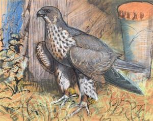 TUNNICLIFFE Charles Frederick 1901-1979,Peregrine Falcon,Peter Wilson GB 2024-03-28
