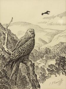 TUNNICLIFFE Charles Frederick,red kite perched on a branch with a mountain valle,Mallams 2019-04-15