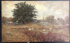 TURCAS Jules 1854-1917,New England landscape with sheep,Kaminski & Co. US 2019-06-30