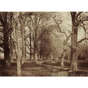 TURNER Benjamin Brecknell 1815-1894,Trees (Pepperharrow Park), ,1853,Phillips, De Pury & Luxembourg 2017-04-04