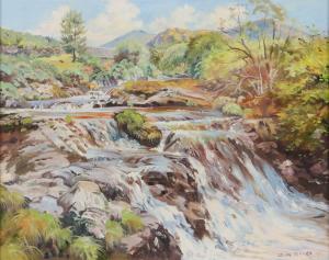 TURNER Colin 1972,FALL ON THE SHIMNA RIVER,Ross's Auctioneers and values IE 2023-11-08