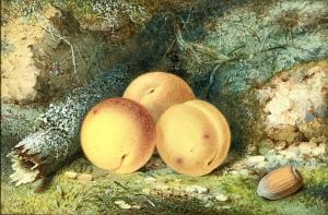 TURNER J 1880,Apricots on a mossy bank,1860,David Lay GB 2020-09-17