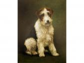 TURNER Maud 1900-1900,A WIRE FOX TERRIER,Lawrences GB 2009-04-24