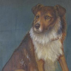 TURNER Maud 1900-1900,Collie dog,Burstow and Hewett GB 2020-09-16