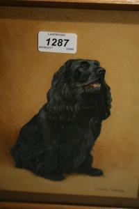 TURNER Maud 1900-1900,study of a cocker spaniel,Lawrences of Bletchingley GB 2017-06-06