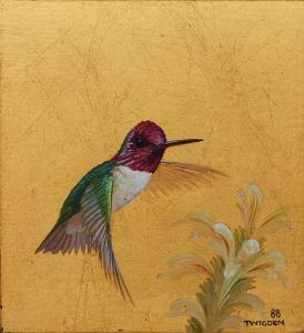 TWIGDEN Blake 1945,Costa's Hummingbird (USA & Central America),1988,Shapiro AU 2017-12-12