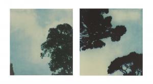 TWOMBLY Cy 1928-2011,Trees (no. 1 and no. 3),1986,Christie's GB 2012-05-09