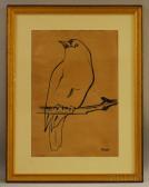 UD DIN Rashid 1900-1900,Bird,Skinner US 2012-04-11