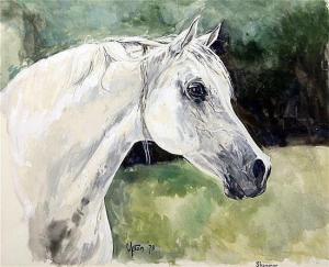 UPTON Peter 1937,Portrait of the Arab stallion Shammar,1978,Gorringes GB 2015-09-03