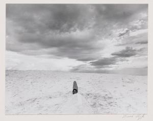 UZZLE Burk 1938,White Sands,1971,Skinner US 2022-09-22