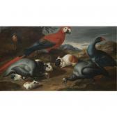 van de KERCKHOVEN Jacob,A STILL LIFE WITH GUINEA PIGS, A PARROT AND OTHER ,Sotheby's 2007-04-26