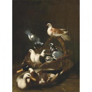 van de KERCKHOVEN Jacob 1637-1715,CANARDS ET PIGEONS DANS UN PANIER,Tajan FR 2023-03-23